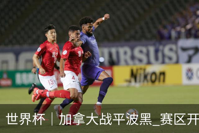 世界杯｜加拿大战平波黑 赛区开幕式表演“翻车”